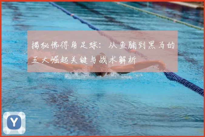 揭秘佛得角足球：从鱼腩到黑马的五大崛起关键与战术解析